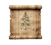 CBD