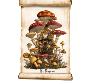 Набір "KING MUSHROOM": преміум-комплекс грибів