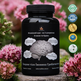 Lion’s Mane fruiting body in capsules - advanced format