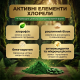 Chlorella Tablets – A Superfood for Complete Body Detoxification, 270 tablets