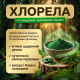 Chlorella Tablets – A Superfood for Complete Body Detoxification, 270 tablets