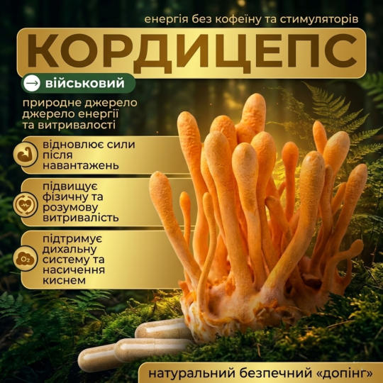 Гриб Кордицепс в капсулах - 120 капсул по 500мг