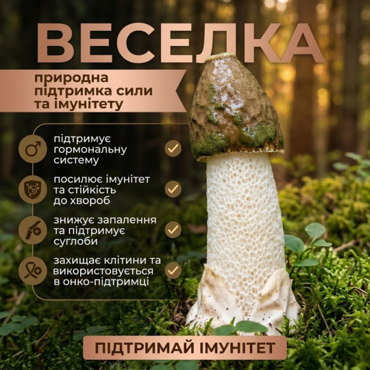 Гриб Веселка у капсулах - 60 капсул по 500мг