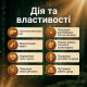 Гриб Чага у капсулах - 180 капсул по 500мг