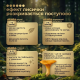Chanterelle Mushrooms in Capsules - Course for 1 Month