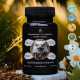 Morel Mushroom in capsules - basic format