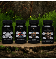 Mindful Eating Kit “New Body”: boost metabolism, lose weight, restore energy balance, become a better version of yourself - 60 capsules of 500 mg