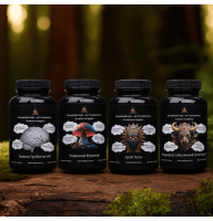 Mindful Eating Set “New Body”: boost your metabolism, lose weight, restore energy balance, become a better version of yourself — 120 capsuless.