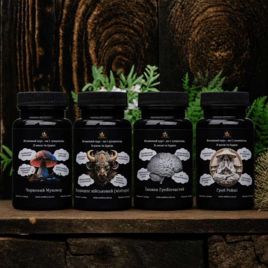 Beginner Kit “Molfar Initiation”: a starter complex for getting acquainted with mushroom supplements - 60 capsules of 500 mg