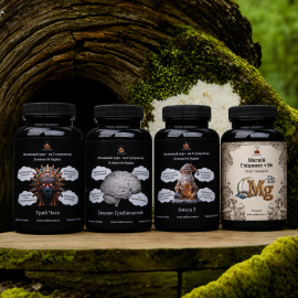“Elixir of Longevity” Set: for brain protection, mental clarity, and improved memory – 120 capsules of 500 mg each