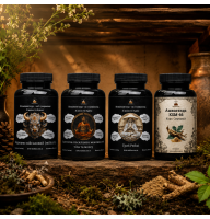 Set “Hetman’s Stack”: for athletes and fighters to increase strength and endurance - 120 capsules of 500 mg