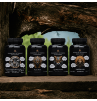 Antiparasitic protocol “Expulsion of the Unclean”: the ideal choice for cleansing the body, protection against helminths, worms and parasites — 120 capsuless.