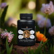 Women's Fat Burner (Evening) 60 capsules