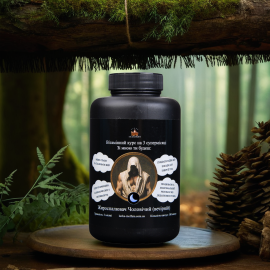 Men's Fat Burner (Evening) 180 capsuless