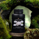 Lion’s Mane (vegan capsules) 2 in 1 – basic format