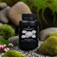 Lion’s Mane (vegan capsules) 2 in 1 – basic format