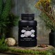 Lion’s Mane (vegan capsules) 2 in 1 – basic format