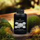Lion’s Mane (vegan capsules) 2 in 1 - extended format