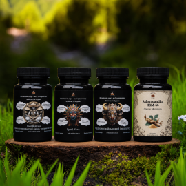 Set “Sugar Balance”: to support stable sugar and glucose levels - 60 capsules