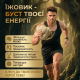 Плодове тіло Їжовика Гребінчастого (левова грива) у капсулах 180 капсул по 500мг | ноотроп мозку | пам’ять | увага | фокус