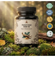 Ашваганда KSM-66 (Ashwagandha KSM-66) — 60 капсул по 500мг