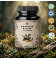 Ашваганда KSM-66 (Ashwagandha KSM-66) — 120 капсул по 500мг