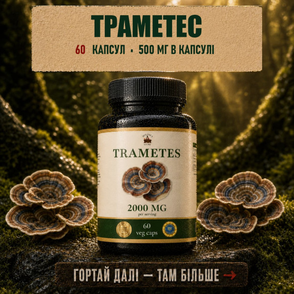 Гриб Trametes в капсулах — 60 капсул по 500 мг