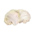 Hericium erinaceus Whole Fruiting Bodies