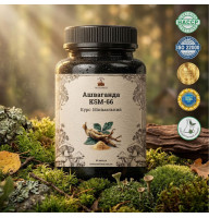 Ashwagandha KSM-66 (Ashwagandha KSM-66) - 60 capsules