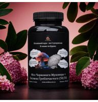 Mix of Lion’s Mane and Red Fly Agaric - advanced format