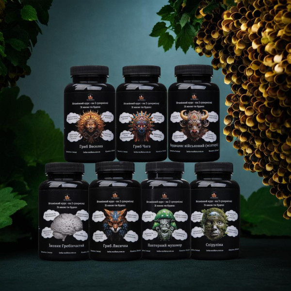 Набір "KING MUSHROOM" 7 в 1 - 120 капсул по 500мг