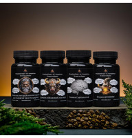 Set "SUPERMAN" - for Real Men 4 in 1 -  60 capsules