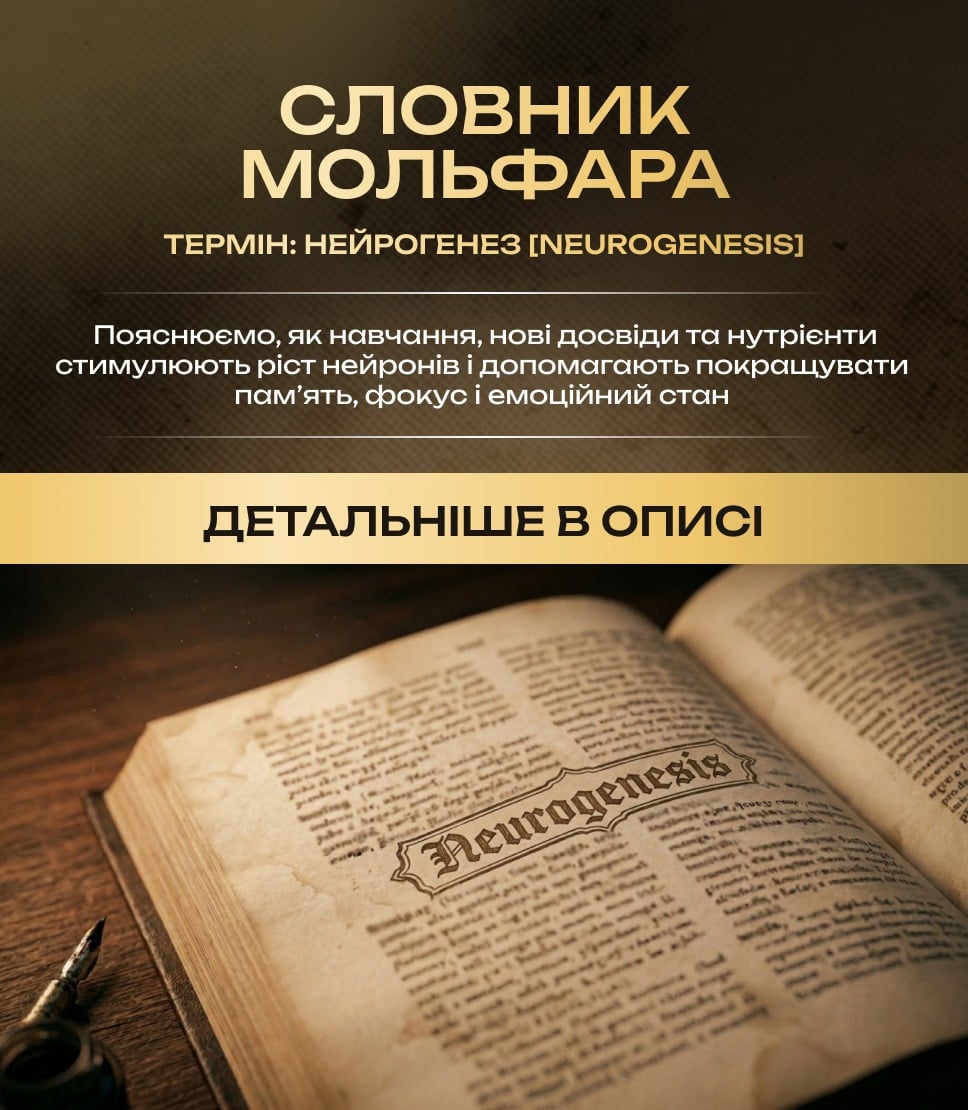 📖 Словник Мольфара. Термін: НЕЙРОГЕНЕЗ [Neurogenesis]

(іменник, з грец. «neuro»